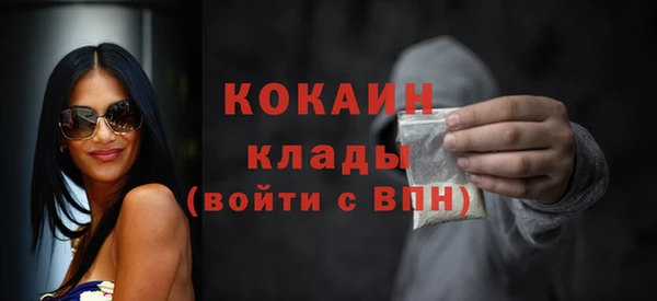 сатива Мегион