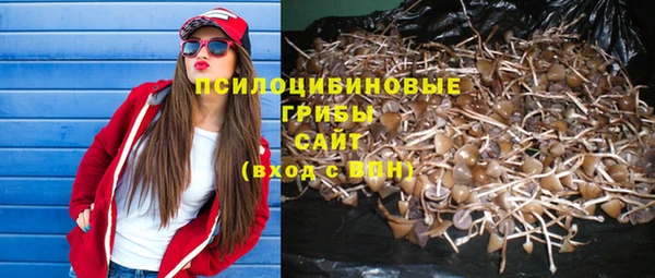 сатива Мегион