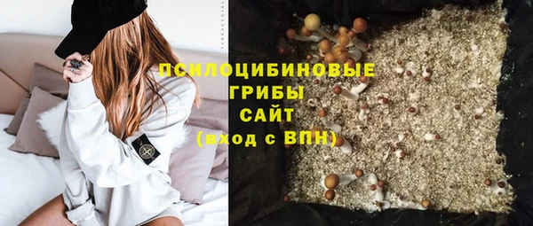 сатива Мегион
