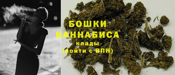 сатива Мегион