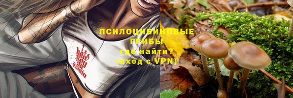 сатива Мегион