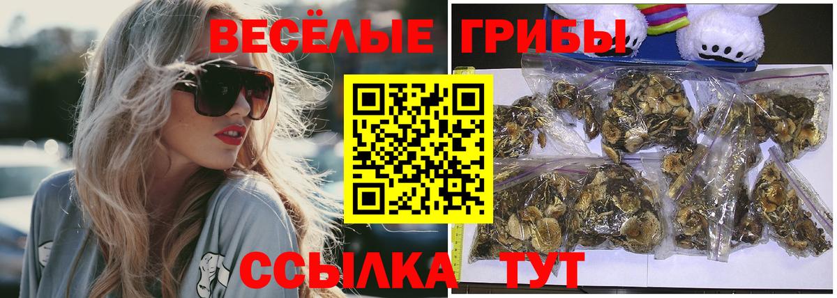 Псилоцибиновые грибы мухоморы  Вход с VPN  что такое наркотик  Фурманов  Псилоцибиновые грибы Magic Shrooms 