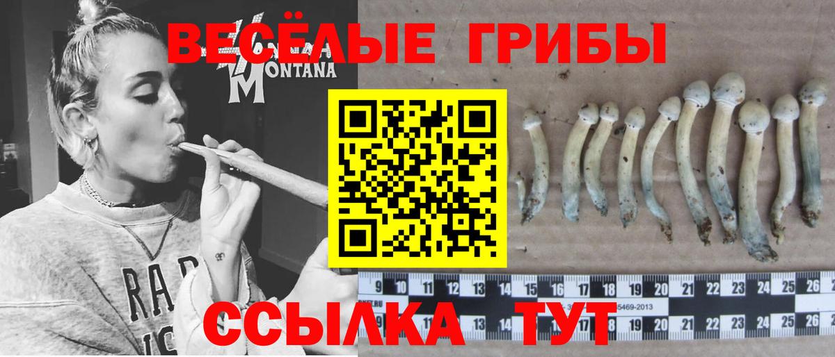 Галлюциногенные грибы мицелий Фурманов