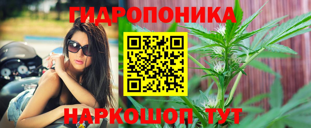 Шишки марихуана конопля  Вход с VPN  Шишки марихуана конопля  Фурманов 